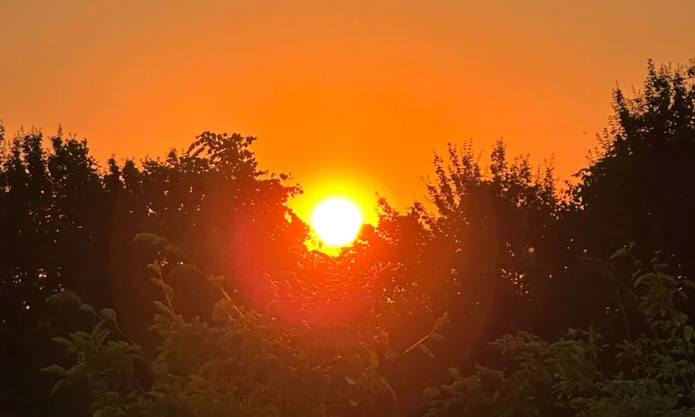 AVALON-ELA, HEALERSOPLEIDING 2026