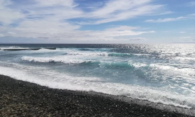 Medium opleiding 2026