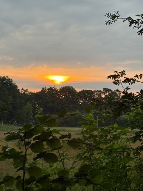 Verdieping mediumschap 2026